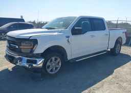 2024 FORD F150 XLT