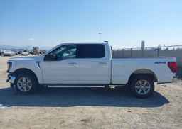 2024 FORD F150 XLT