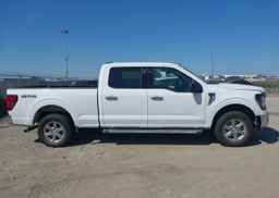 2024 FORD F150 XLT