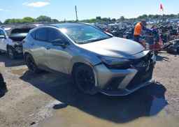 2023 LEXUS NX 350