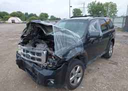 2011 FORD ESCAPE XLT