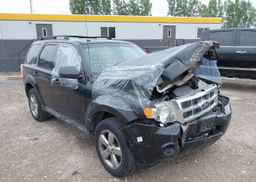 2011 FORD ESCAPE XLT