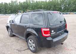 2011 FORD ESCAPE XLT