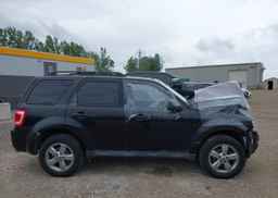 2011 FORD ESCAPE XLT
