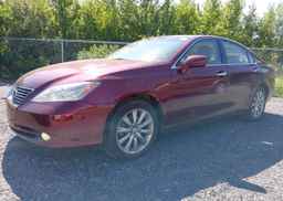 2008 LEXUS ES350