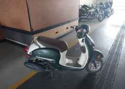 2023 HONDA NCW50 P