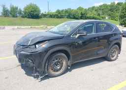2020 LEXUS NX 300