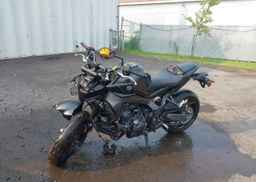 2025 YAMAHA MT09