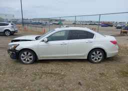 2010 HONDA ACCORD EXL