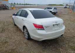 2010 HONDA ACCORD EXL
