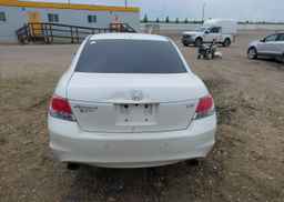 2010 HONDA ACCORD EXL