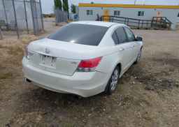 2010 HONDA ACCORD EXL