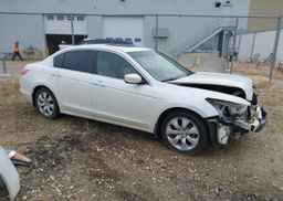 2010 HONDA ACCORD EXL