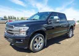 2020 FORD F-150 PLATINUM
