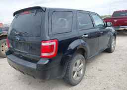 2012 FORD ESCAPE XLT