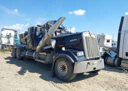 2019 KENWORTH W900