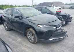 2023 TOYOTA VENZA LE