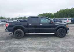 2014 FORD F150 SUPERCREW