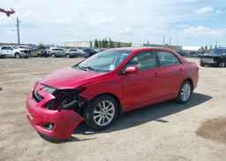 2009 TOYOTA COROLLA LE