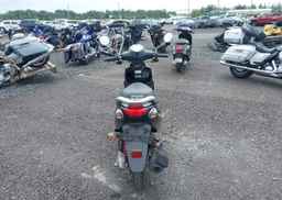 2017 GENUINE SCOOTER CO. BUDDY 50