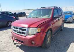 2008 FORD ESCAPE XLT