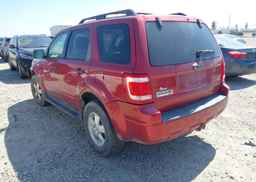 2008 FORD ESCAPE XLT