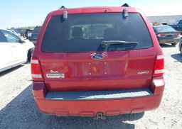 2008 FORD ESCAPE XLT