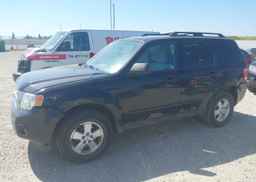 2012 FORD ESCAPE XLT