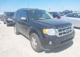 2012 FORD ESCAPE XLT