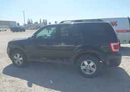 2012 FORD ESCAPE XLT