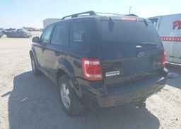 2012 FORD ESCAPE XLT