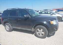 2012 FORD ESCAPE XLT