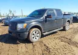 2011 FORD F150 SUPERCREW
