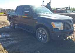 2011 FORD F150 SUPERCREW