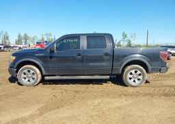 2011 FORD F150 SUPERCREW