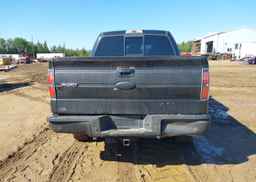 2011 FORD F150 SUPERCREW