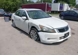 2009 HONDA ACCORD EX-L V6