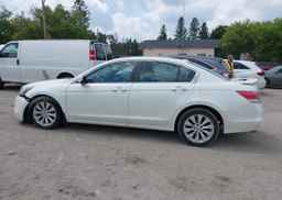 2009 HONDA ACCORD EX-L V6