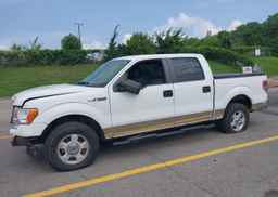 2011 FORD F-150
