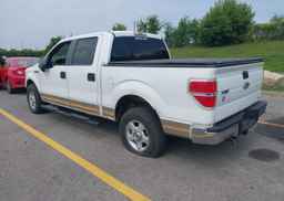 2011 FORD F-150
