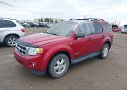 2008 FORD ESCAPE XLT