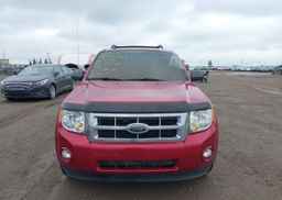 2008 FORD ESCAPE XLT