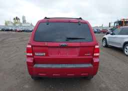 2008 FORD ESCAPE XLT