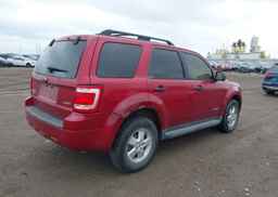 2008 FORD ESCAPE XLT