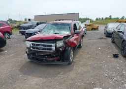 2010 FORD ESCAPE XLT AUTOMATIC
