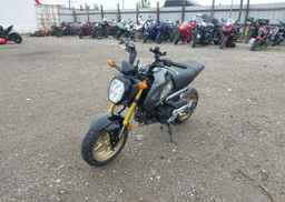 2024 HONDA GROM A