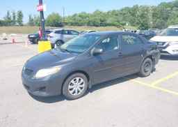 2010 TOYOTA COROLLA