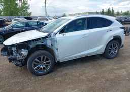 2019 LEXUS NX 300