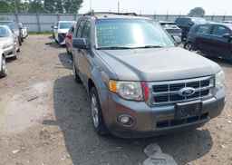 2010 FORD ESCAPE XLT