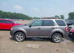 2010 FORD ESCAPE XLT